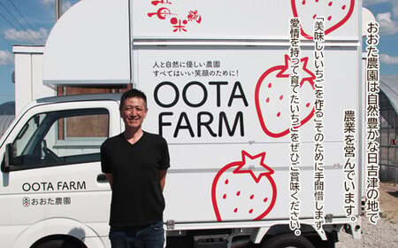 【先行予約】鳥取県産いちご かおりの 15粒（ギフト箱入）【イチゴ 苺 フルーツ 果物 かおりの かおり野 大粒 減農薬栽培 ギフト プレゼント 季節限定 先行予約】