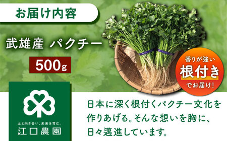 パクチー好きのための パクチー 500g 江口農園[UBF008] 