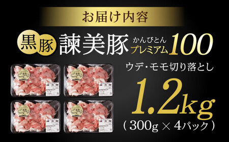 ＜特Aのブランド米で育てた＞黒豚諫美豚プレミアム100 切り落とし(ウデ・モモ) 計1.2kg(300g×4P) / 黒豚 豚肉 小分け 肉 豚 ウデ肉 ウデ モモ もも肉 / 諫早市 / 株式会社土井農場 [AHAD046]