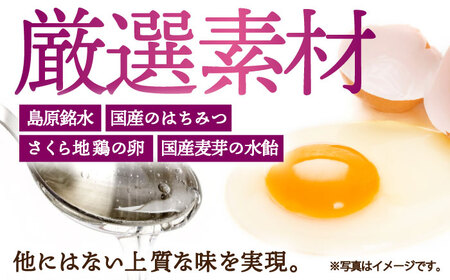 長崎 かすてら 五三焼 ハニー 500g×2本 / カステラ かすてら 長崎かすてら 長崎カステラ お菓子 スイーツ ギフト / 南島原市 / 川崎 [SBI011]