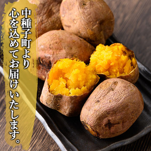 n197 期間限定 冷凍 焼き芋 20袋 安納芋 さつま芋 個包装 【種子島安納株式会社】