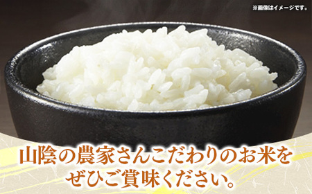 【定期便】五ツ星お米マイスター厳選 能義平野のコシヒカリ 5kg×5回 【令和7年産 5ヶ月定期便こしひかり 計25kg 精米 白米 ご飯 お米 美味しい 安心 安全 沼田米穀店 島根県 安来市】【価格変更】【67-NB-02】