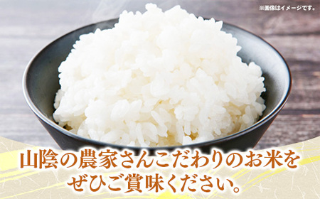 五ツ星お米マイスター厳選 能義平野のきぬむすめ 7kg 【令和7年産 白米 精米 ご飯 美味しい 安心 安全 沼田米穀店 島根県 安来市】【価格変更】【17-NB-03】