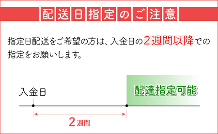 小夏 3kg 家庭用 日向夏 ニューサマーオレンジ くだもの 果物 産直 旬の果物 高知県 大月町