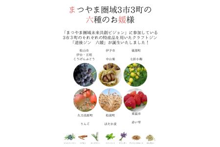道後ジン 六媛　クラフトジン　スピリッツ　愛媛県産　ボタニカル　500ml｜C02