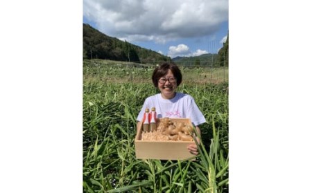 四万十の台地で育った辛口ジンジャーシロップ6本／Fmf-02
