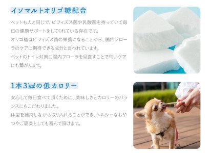 【6ヶ月定期便】 高濃度 水素ゼリー 犬用 31本入り × 6回 (1本5g) 水素 ゼリー ごはん おやつ 犬 愛犬 健康食品 サプリ ヨーグルト風味 持ち運び 携帯 ペット