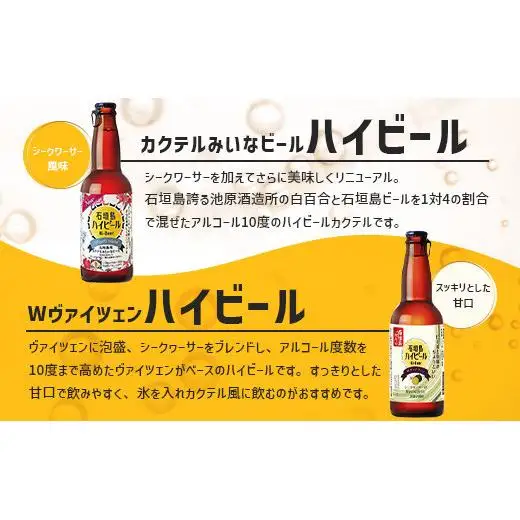 石垣島ビール詰め合わせ おまかせ12本セット　 V-22
