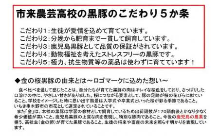 ESSEふるさとグランプリ2023金賞受賞！金の桜黒豚しゃぶしゃぶ（ロース＆バラ）各300g【A-1087H】