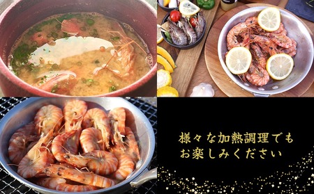 車海老【久米総合開発】活き〆急速冷凍 久米島ブランド車海老 中サイズ 500g 車えび 海鮮