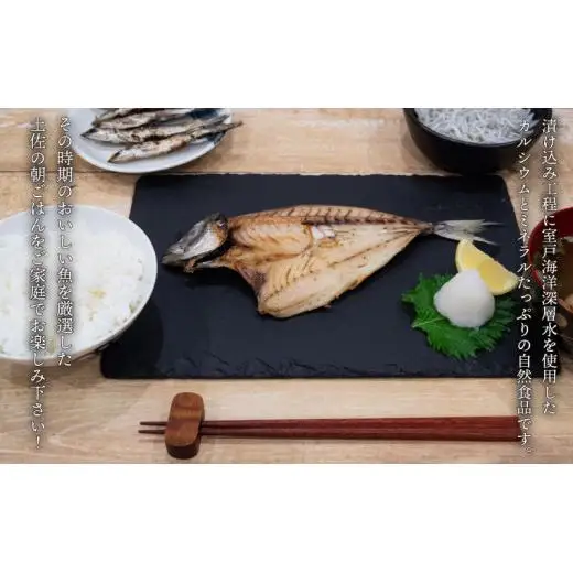 須崎 土佐 朝飯 3点 セット (アジ 干物 ちりめん じゃこ 旬 お魚 干物) 鯵 独自 特性 釜揚げ 季節 魚 時期 高知 海の町 朝 ごはん 丸宮 宮本 商店 高知県 須崎市 MMY026
