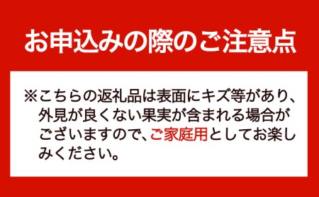 紀の川柿 2玉入 約500g ときわオンライン《2026年10月上旬-12月中旬頃出荷》和歌山県 紀の川市 平核無柿 ひらたねなしがき