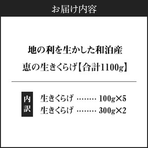 ■地の利を生かした沖永良部産 恵の 生きくらげ W012-001 惣菜 キノコ