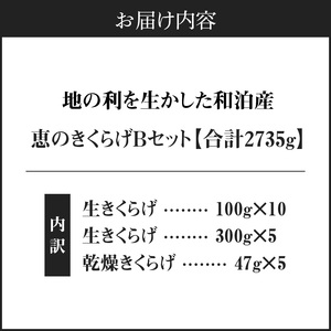 地の利を生かした 沖永良部産 恵の きくらげ Bセット W012-003u 惣菜 冷凍 キノコ