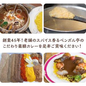 N ベンガル亭特製スパイスカレー！（スパイスソース・辛口）13袋