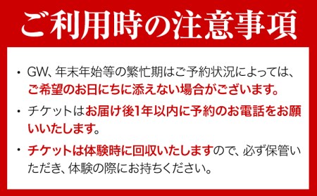 【予約制】福永幸山堂の藍染体験 ハンカチ体験チケット ペア体験チケット 福永幸山堂《60日以内に出荷予定(土日祝除く)》熊本県 御船町 ハンカチ 体験 チケット オリジナル 藍染 ペア