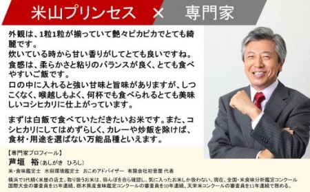 新潟産最上級コシヒカリ「米山プリンセス」 無洗米 6kg（3kg×2袋）令和7年産米 徳永農園[Y0453]