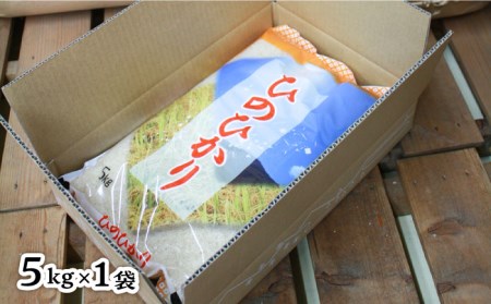 糸島産 ひのひかり 5kg 糸島市 / 三島商店 [AIM003] 米 白米