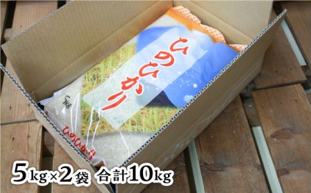 【お中元対象】 糸島産 ひのひかり 10kg 糸島市 / 三島商店 [AIM004] 米 白米