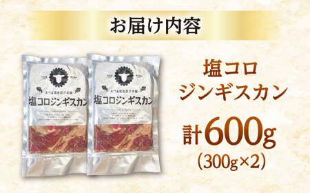 塩コロジンギスカン 計600g（300g×2パック）【有限会社市原精肉店】BBQ 焼き肉 ご当地グルメ 北海道 人気 [AXAA001]