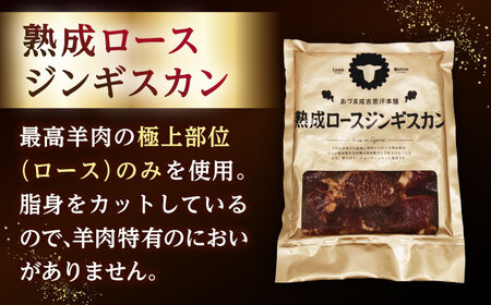 【全3回定期便】あづまジンギスカン 月替りバラエティ 定期便【有限会社市原精肉店】 BBQ 焼き肉 ご当地グルメ 北海道 毎月 連続 [AXAA015]