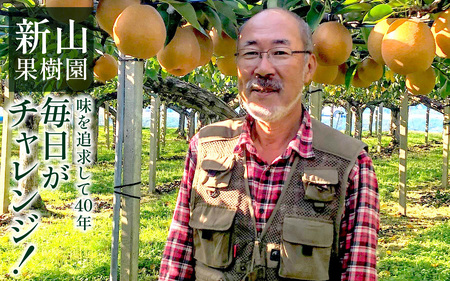 【先行予約】梨（幸水）※2026年8月下旬以降順次発送予定  / フルーツ 果物 くだもの なし 滑川市 新山果樹園 [A-014001]