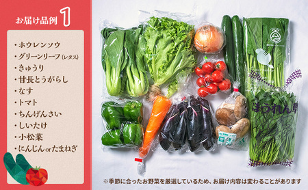 定期便 12回 季節の野菜 詰め合わせ セット 冷蔵 旬