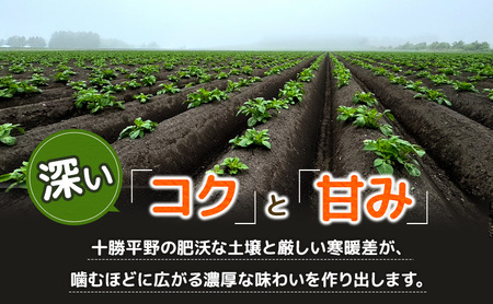 先行予約/2026年秋発送 北海道 十勝 幕別産 じゃがいも とうや 約10kg 【横山農園】 野菜 根菜 食材 煮崩れしにくい サラダ 煮込み料理 肉じゃが カレー シチュー 北海道のジャガイモ 
