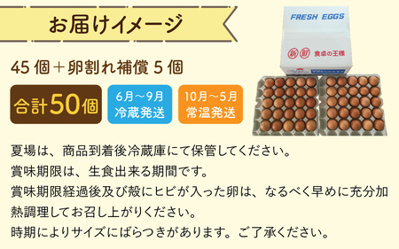 鮮度抜群！農場直送「卵」50個（45個 ＋ 卵割れ補償 5個）
