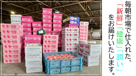 【特秀品!】夏のいいとこどり定期便♪