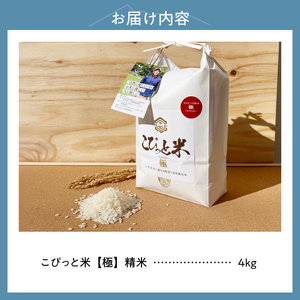 【令和7年度米】こぴっと米【極】4kg 大粒厳選・1等特別栽培米 100％ 米 精米 令和7年産 北杜市産 お米  八ヶ岳 [h020]