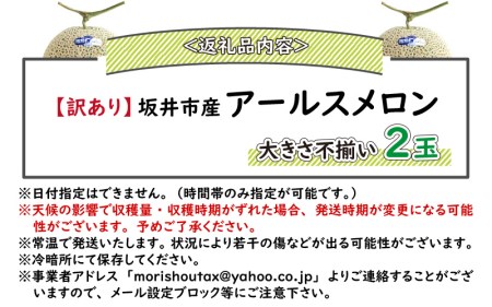 【先行予約】【訳あり】坂井市産 アールスメロン 2玉 【2026年9月上旬以降順次発送予定】[A-3232]
