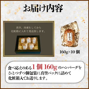 惣菜 ハンバーグ 10個 新発田牛 惣菜 惣菜 惣菜 惣菜 惣菜 H22_02