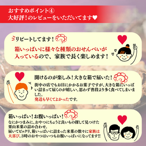 箱限界に挑戦！ Befco せんべい 16種 詰め合わせ せんべい