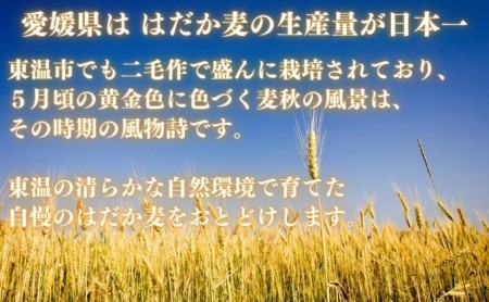 押しはだか麦 計2kg（1kg×2袋セット） 食物繊維豊富 食物繊維 食感 プチプチ あっさり 麦ごはん 食品 食べ物 ご飯 おにぎり お弁当 主食 毎日 炭水化物 国産 日本産 愛媛県産 東温市産 直送 産地直送 