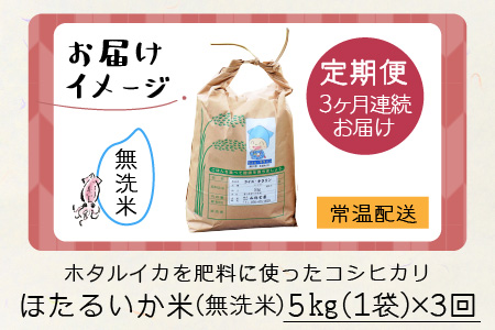 ほたるいか米（無洗米５kg）×3回 計15kg【3ヶ月定期便】[C-021007]