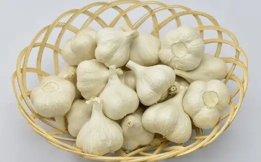 【2026年8月発送】【早期予約品】にんにく(1kg) 栽培期間中農薬、化学肥料不使用　【02402-0068】