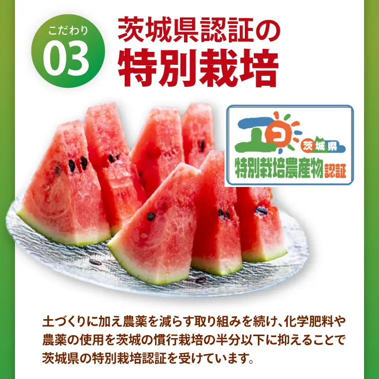 先行予約 大玉スイカ 3L サイズ 茨城県産 茨城県 阿見町 1玉 すいか 西瓜 果物 くだもの フルーツ 国産 甘い 大玉 スイカ 通販 お取り寄せ シャリ感 みずみずしい 完熟 高糖度 大きい こだわり栽培 特別栽培 旬 産地直送 数量限定 期間限定 送料無料 【先行予約｜2026年6月上旬より順次発送】（04-25）