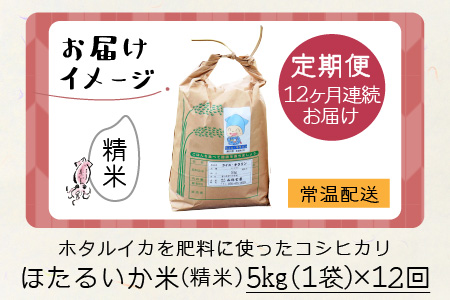 ほたるいか米　コシヒカリ 精米５kg ×12回 計60kg 12ヶ月定期便 米定期便 [J-021002]