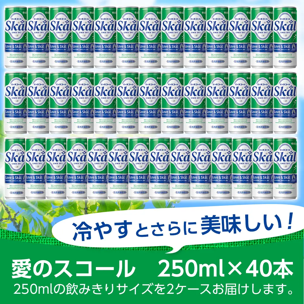『愛』を込めて・・・愛のスコール250ml×40本(2ケース)_13-2305_(都城市) 炭酸飲料 スコール 250ml 20本 2ケース
