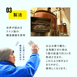 FYN9-719 【定期便3回】クラフトビール 月山ビール ピルスナー 6本セット 地ビール こだわり お酒 山形県 西川町