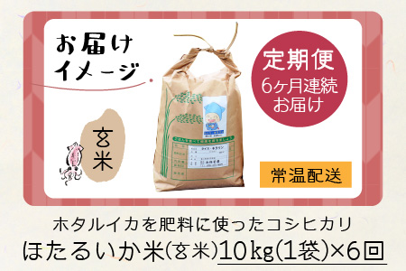 【訳あり】ほたるいか米（玄米10kg）×6回 計60kg【6ヶ月定期便】 [H-021003]