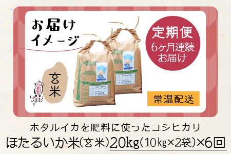 ほたるいか米　コシヒカリ 玄米20kg ×6回 計120kg 6ヶ月定期便 米定期便 [M-021001]