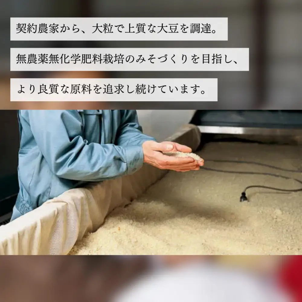信州産 無添加カップみそ 計２kg 詰合せ | 味噌 みそ 無添加 信州
