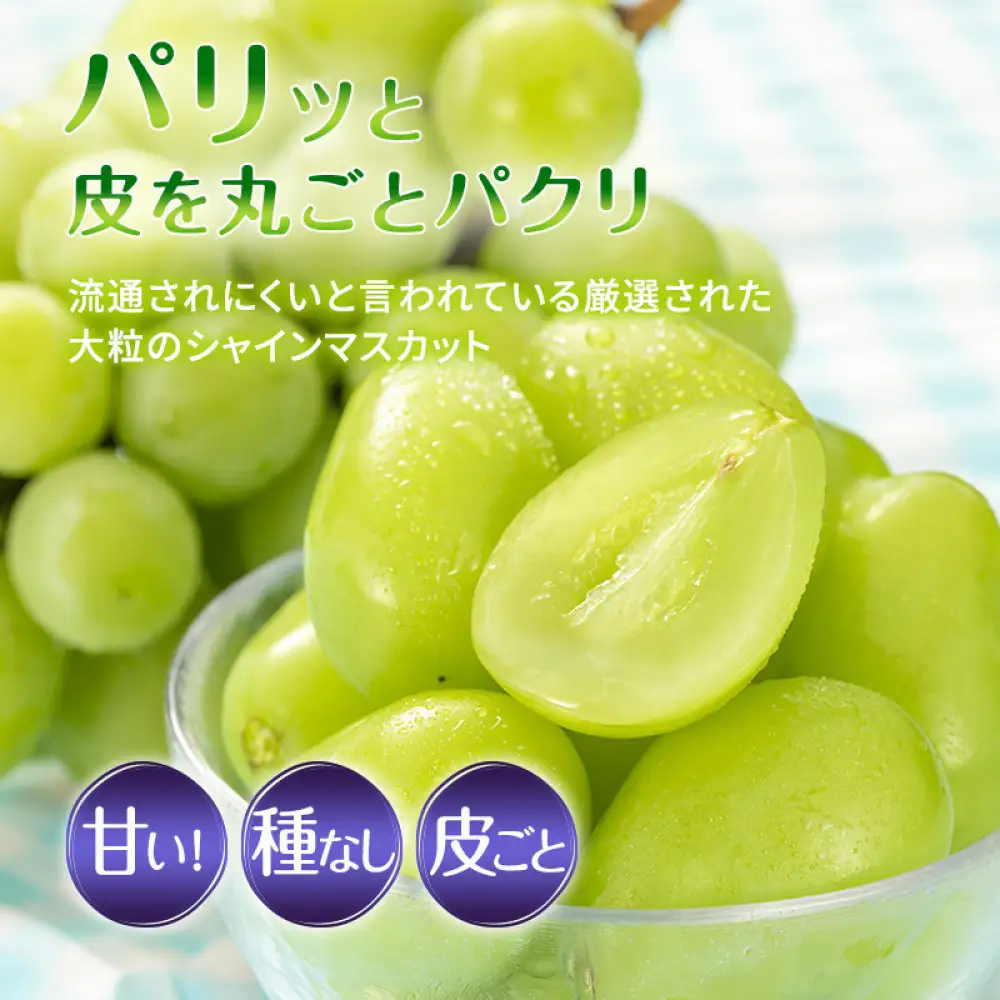 食べ比べ「ナガノパープル&シャインマスカット」約1kg 入【2026年9月以降発送予定】(さらしな青果) | ぶどう  シャインマスカット
