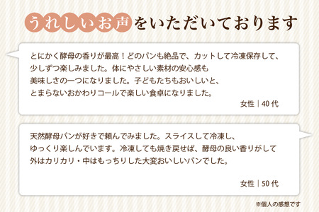 薪窯焼き自家製酵母パン4種と自家製ジャムセット 自家製酵母 パン 4種 ジャム 詰め合わせ 天然酵母 石窯 窯焼き セット 朝食 おやつ ギフト 贈答用 お取り寄せ cafe karin 熊本 南小国町 送料無料