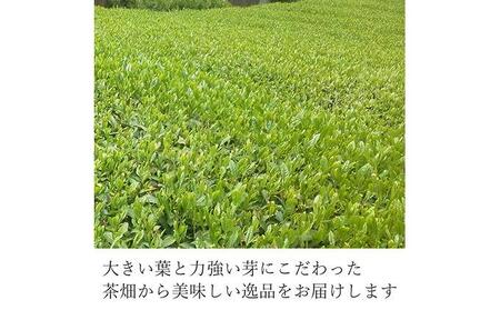 静岡 本山茶 1缶165g（特製木箱入り）◇