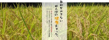 3ヶ月定期便 魚沼産コシヒカリ 5kg ×1袋 |津南町 魚沼 令和7年