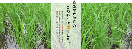 魚沼産コシヒカリ 5kg×1袋 新潟県 |津南町 魚沼 令和7年