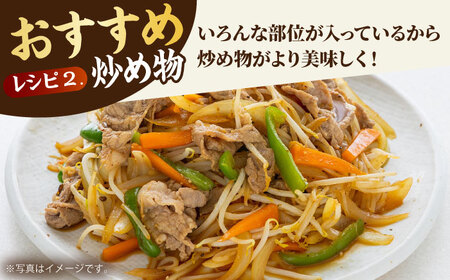 【全6回定期便】佐賀牛切り落とし500g HBH131 切り落とし 佐賀牛 国産 和牛